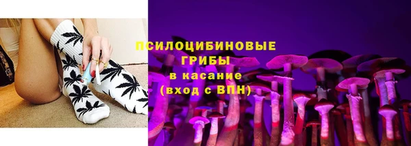 ПСИЛОЦИБИНОВЫЕ ГРИБЫ Бугульма