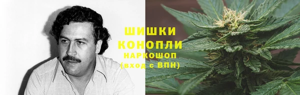 гидра Богородск
