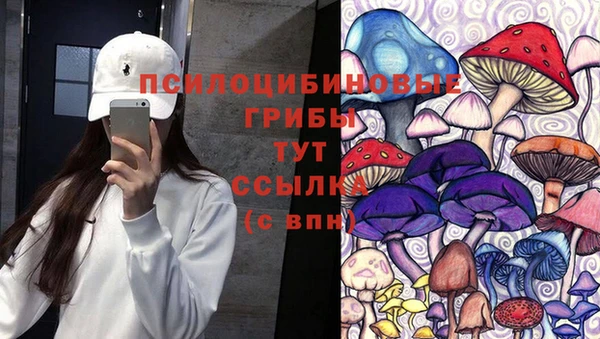 гашиш Бородино